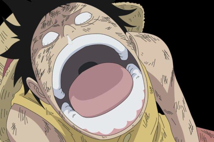 The Fall of One Piece